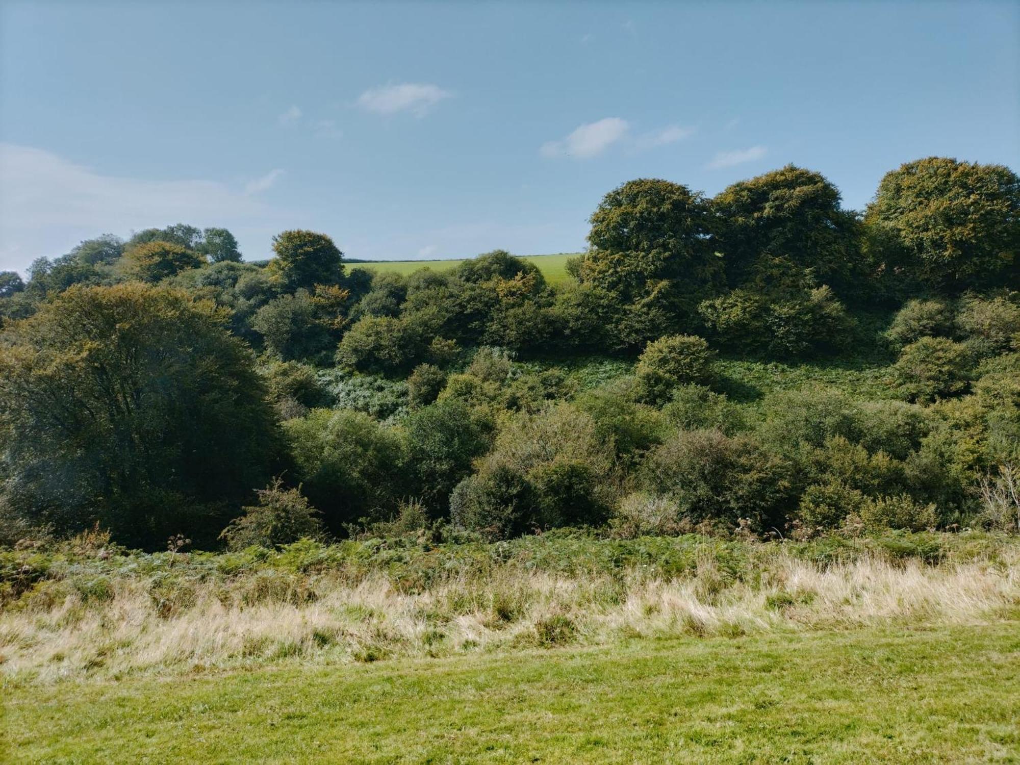 22 Stowford Gardens Combe Martin Leilighet Eksteriør bilde