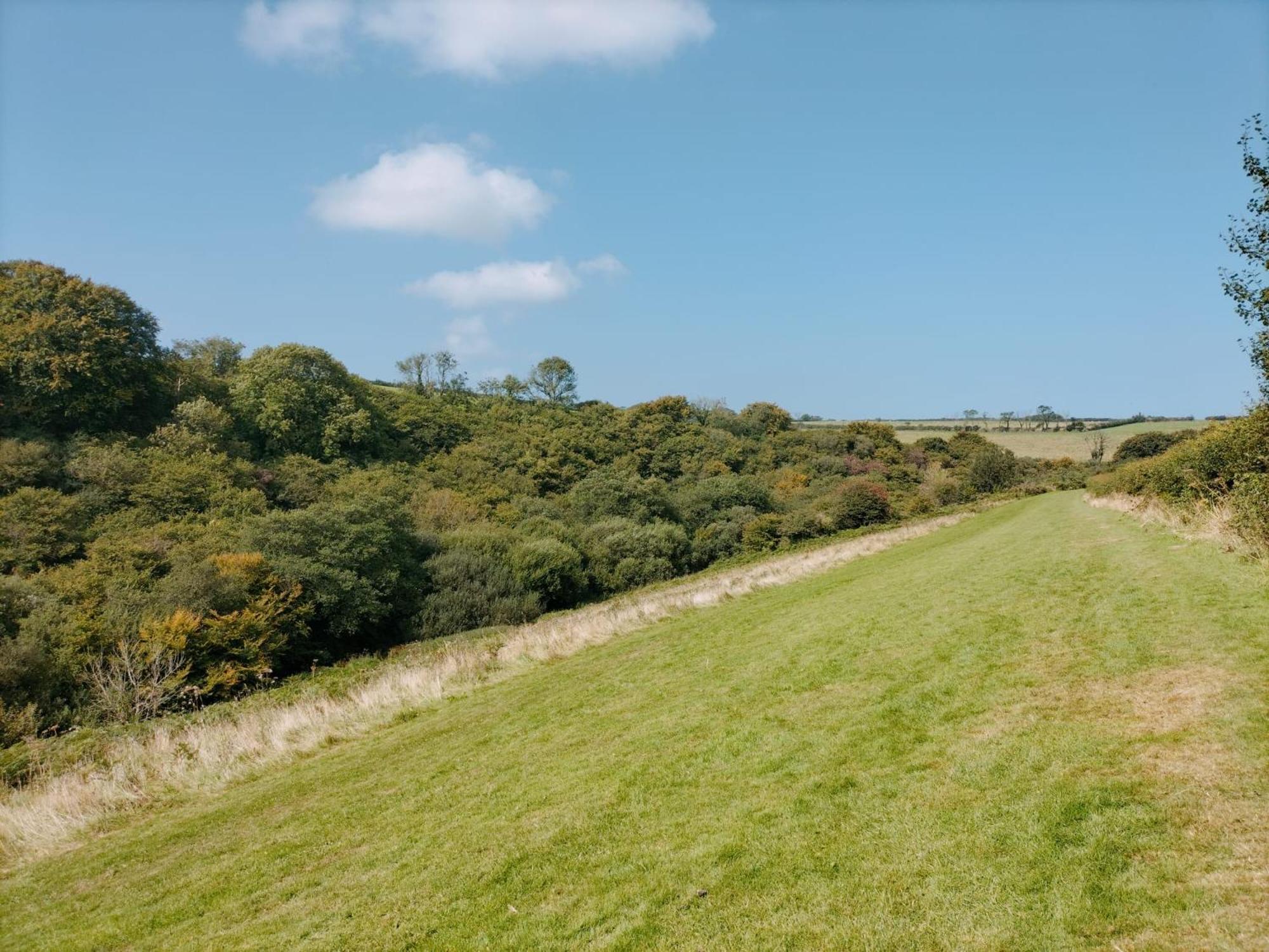 22 Stowford Gardens Combe Martin Leilighet Eksteriør bilde